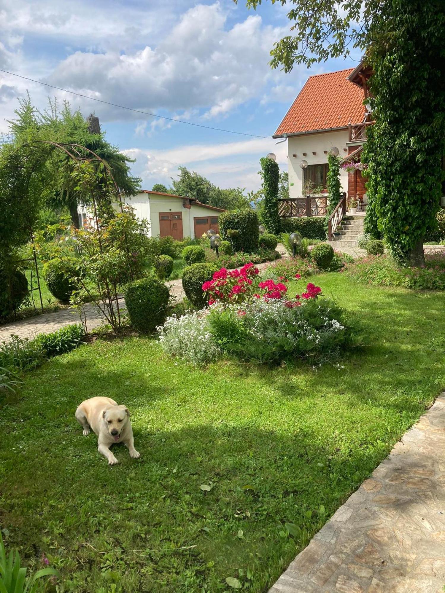 Orehite Guest House Samokov Exteriér fotografie